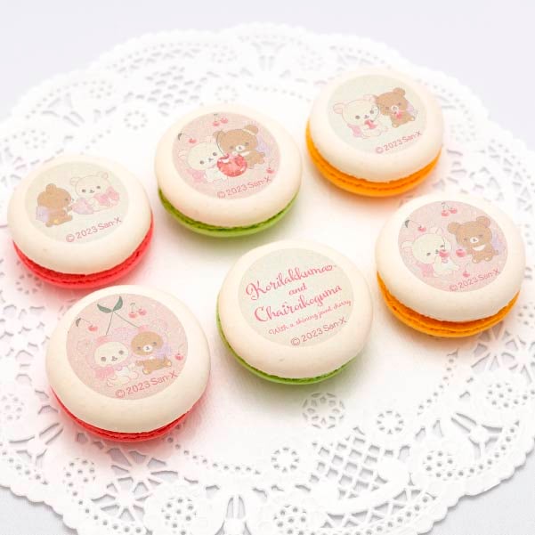 �ץ�ޥ�����6�ĥ��åȡ�D���ˡ���ŵ�̥Хå��դ���[���å���]