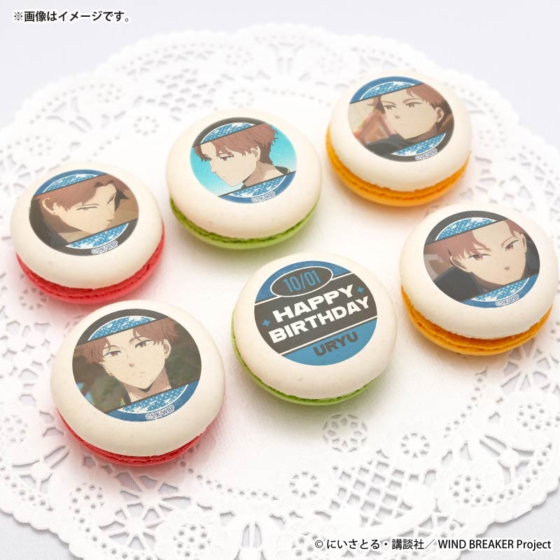 �С����ǡ��ץ�ޥ�����6�ĥ��å�2025�ʺ� ��ε�ˡ���ŵ�̥Хå��դ���[WIND BREAKER]