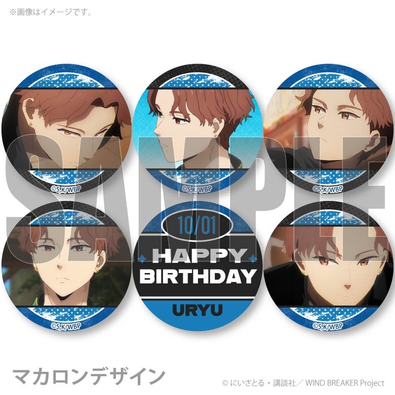 �С����ǡ��ץ�ޥ�����6�ĥ��å�2025�ʺ� ��ε�ˡ���ŵ�̥Хå��դ���[WIND BREAKER]