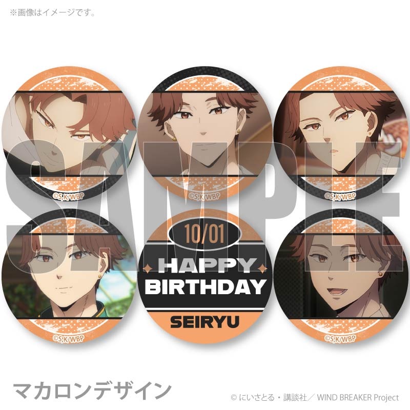 �С����ǡ��ץ�ޥ�����6�ĥ��å�2025�ʺ� ��ε�ˡ���ŵ�̥Хå��դ���[WIND BREAKER]