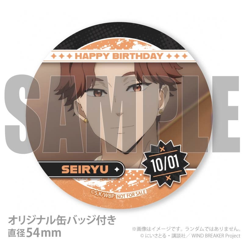 �С����ǡ��ץ�ޥ�����6�ĥ��å�2025�ʺ� ��ε�ˡ���ŵ�̥Хå��դ���[WIND BREAKER]