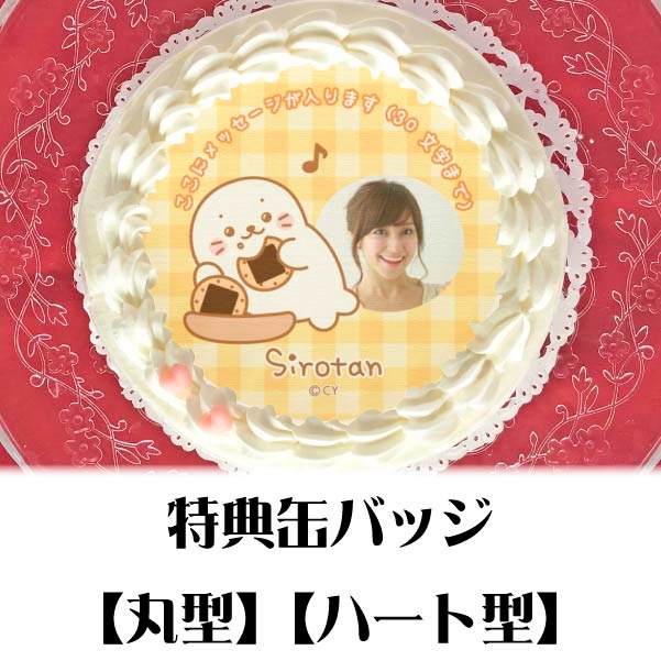 �ڼ̿���å���������ۥץꥱ�����ʤ�����٤���������ˡ���ŵ�̥Хå��դ���[��������]