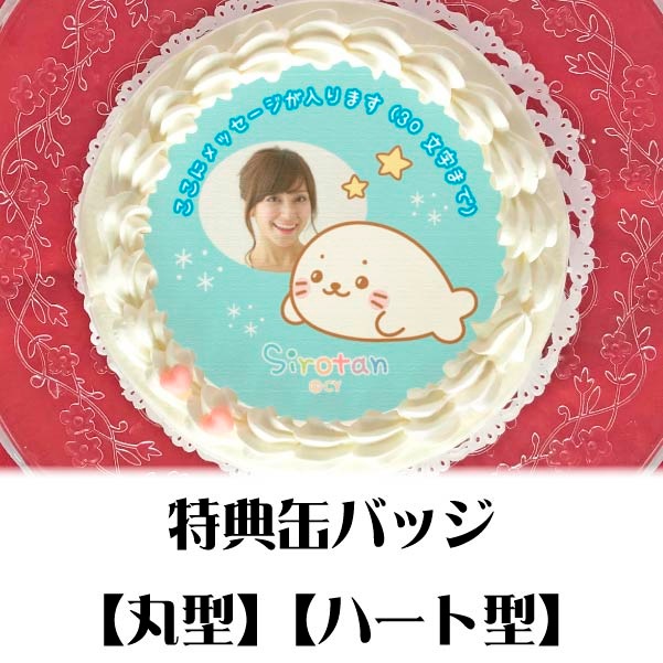 �ڼ̿���å���������ۥץꥱ�����ʥΡ��ޥ뤷������ˡ���ŵ�̥Хå��դ���[��������]