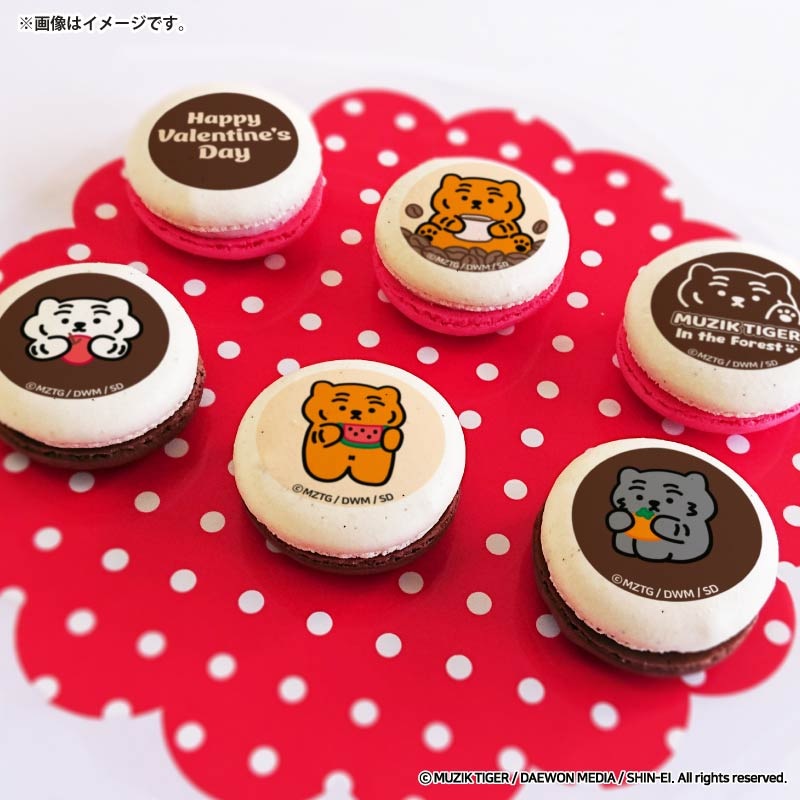 �Х�󥿥���ץ�ޥ�����6�ĥ��å�2026��B���ˡ���ŵ�̥Хå��դ���[MUZIK TIGER(�ॸ������������)]