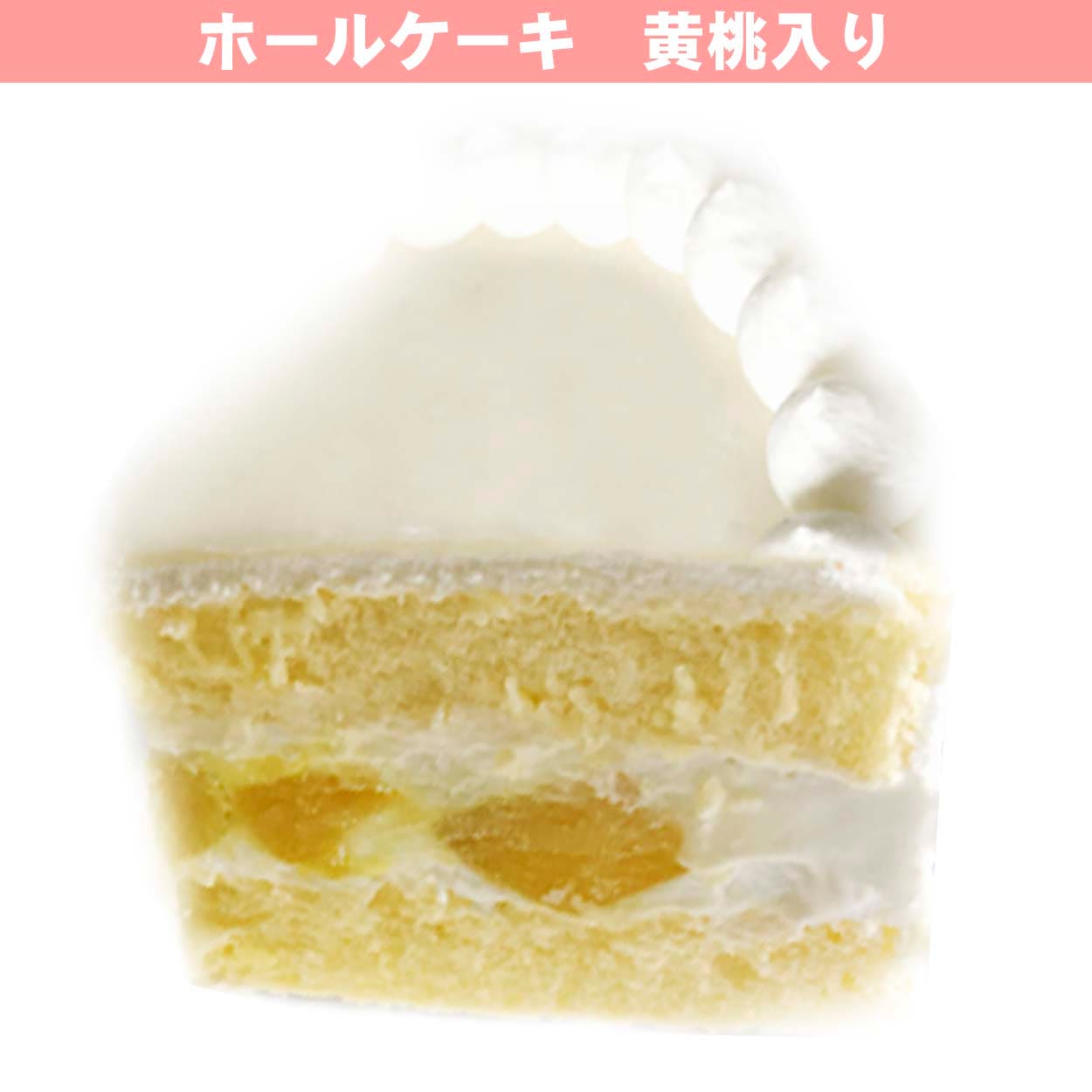 �ڼ̿���å������������ƣ��Ϻ(�������ץꥱ����)[�������ONLINE]