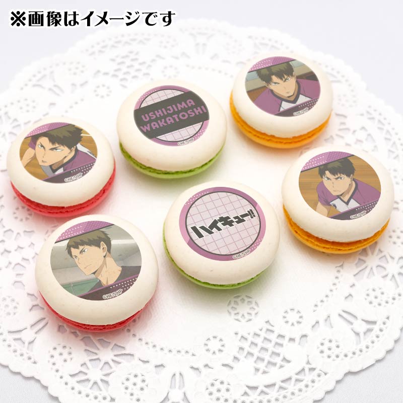 �ץ�ޥ�����6�ĥ��å�2025�ʵ�������ˡ���ŵ�̥Хå��դ���[�ϥ����塼!!]