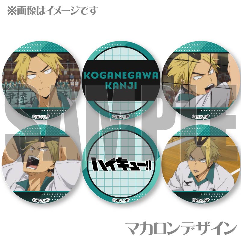 �ץ�ޥ�����6�ĥ��å�2025�ʲ�����ӻ�ˡ���ŵ�̥Хå��դ���[�ϥ����塼!!]