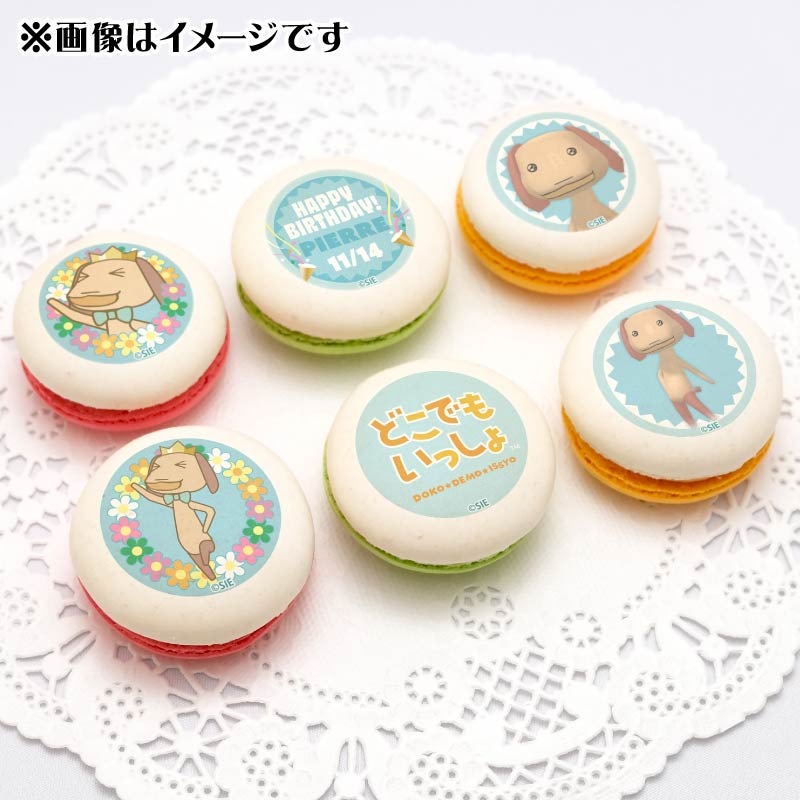 バースデープリマカロン6個セット2025（ピエール）【特典缶バッジ付き 