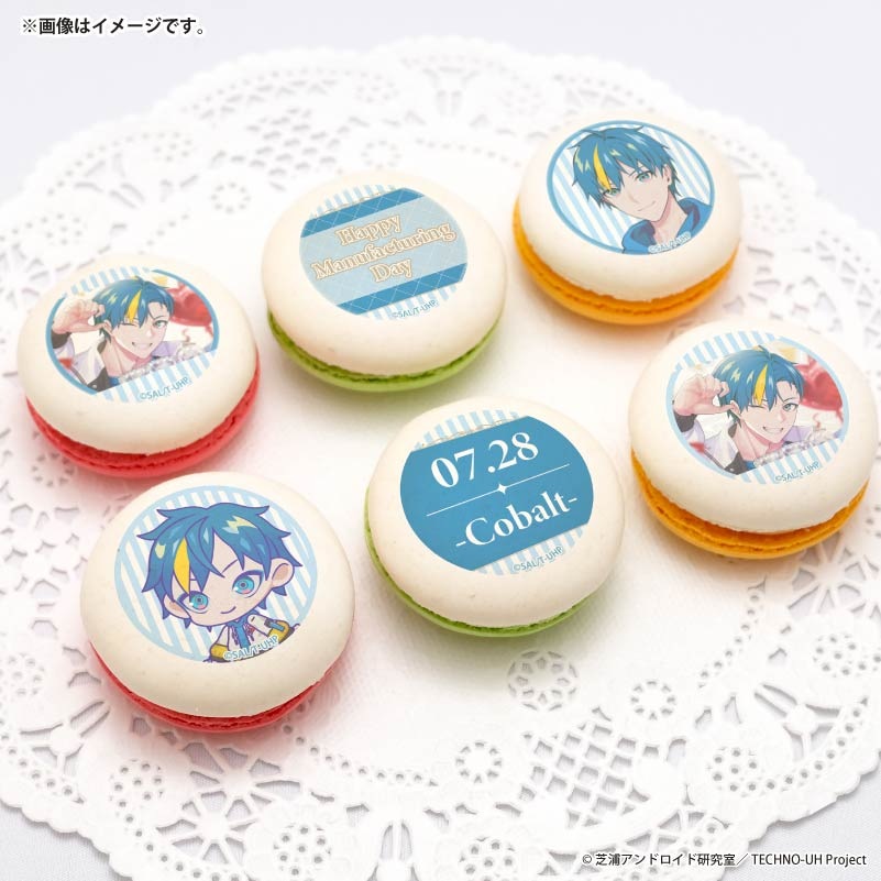 製造日記念プリマカロン6個セット2026（コバルト）【特典缶バッジ付き
