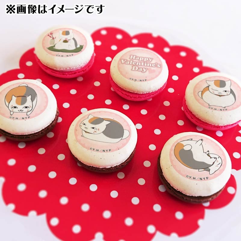 Х󥿥ץޥ6ĥå2025ʥ˥ˡŵ̥Хåդ[ͧĢ]