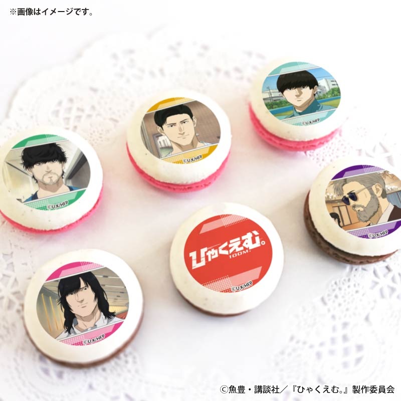 �ۥ磻�ȥǡ��ץ�ޥ�����6�ĥ��å�2026����ŵ�̥Хå��դ���[�Ҥ㤯���ࡣ]