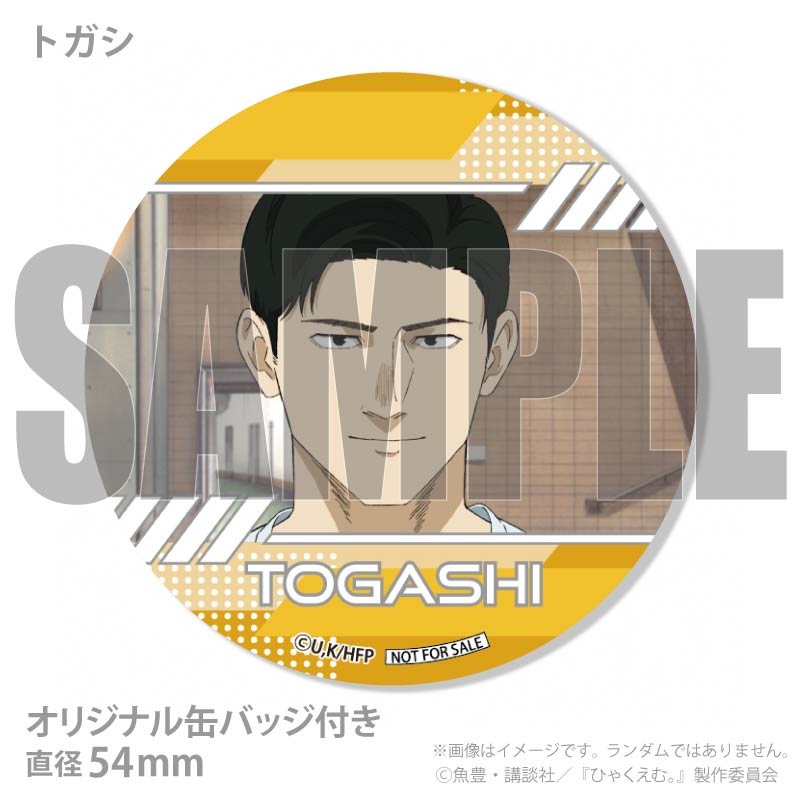 �ۥ磻�ȥǡ��ץ�ޥ�����6�ĥ��å�2026����ŵ�̥Хå��դ���[�Ҥ㤯���ࡣ]