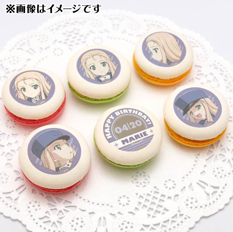 �С����ǡ��ץ�ޥ�����6�ĥ��å�2025�ʥޥ꡼�ˡ���ŵ�̥Хå��դ���[�����륺���ѥ�ĥ���]