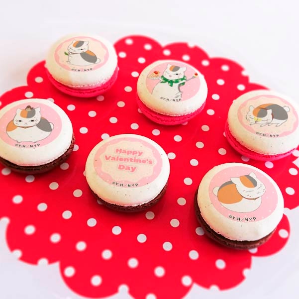 Х󥿥ץޥ6ĥå2024ʥ˥ˡŵ̥Хåդ[ͧĢ]