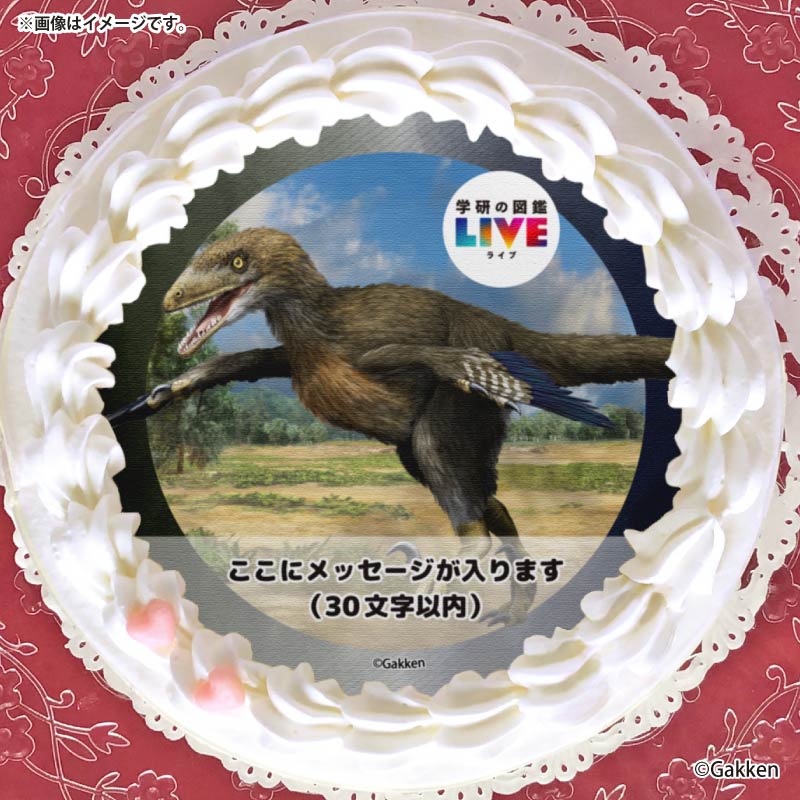 �ڥ�å���������ۥץꥱ�����ʥǥ��Υ˥����ˡ���ŵ�����ɤޤ��ϴ̥Хå��դ���[�ظ��ο޴�LIVE]