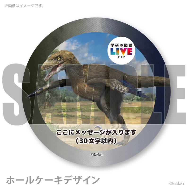 �ڥ�å���������ۥץꥱ�����ʥǥ��Υ˥����ˡ���ŵ�����ɤޤ��ϴ̥Хå��դ���[�ظ��ο޴�LIVE]