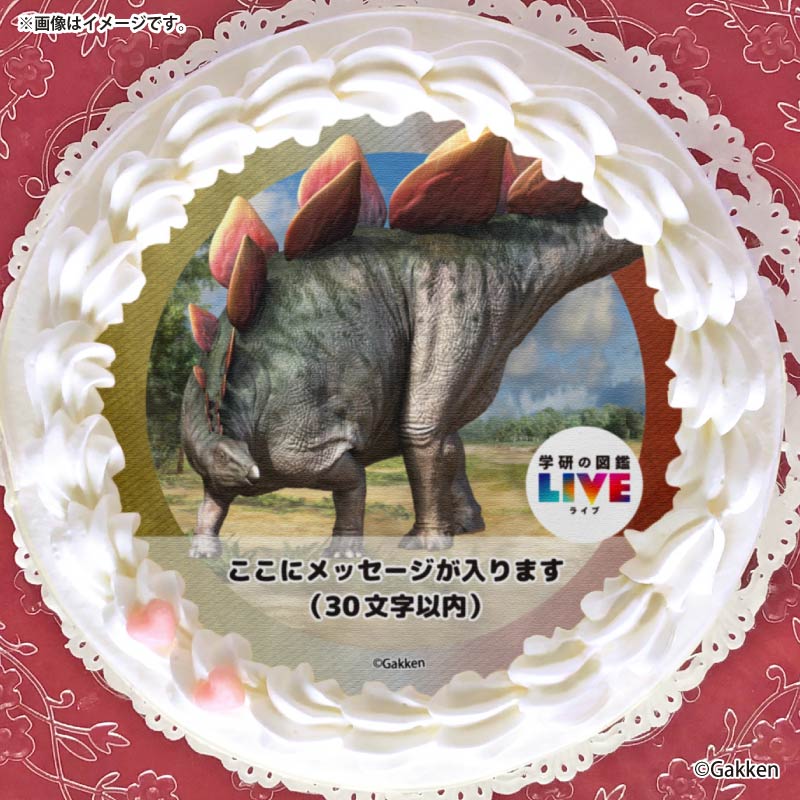 �ڥ�å���������ۥץꥱ�����ʥ��ƥ������륹�ˡ���ŵ�����ɤޤ��ϴ̥Хå��դ���[�ظ��ο޴�LIVE]