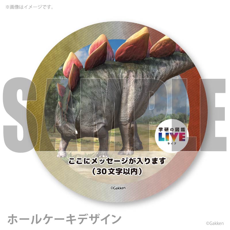 �ڥ�å���������ۥץꥱ�����ʥ��ƥ������륹�ˡ���ŵ�����ɤޤ��ϴ̥Хå��դ���[�ظ��ο޴�LIVE]