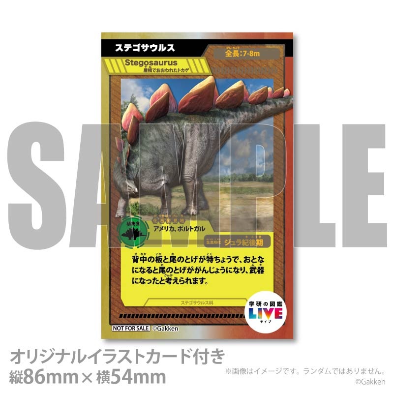 �ڥ�å���������ۥץꥱ�����ʥ��ƥ������륹�ˡ���ŵ�����ɤޤ��ϴ̥Хå��դ���[�ظ��ο޴�LIVE]