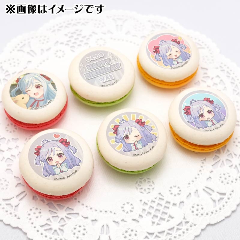 �С����ǡ��ץ�ޥ�����6�ĥ��å�2025�ʿ��� Ȭ�áˡ���ŵ�̥Хå��դ���[���ɥ���������]