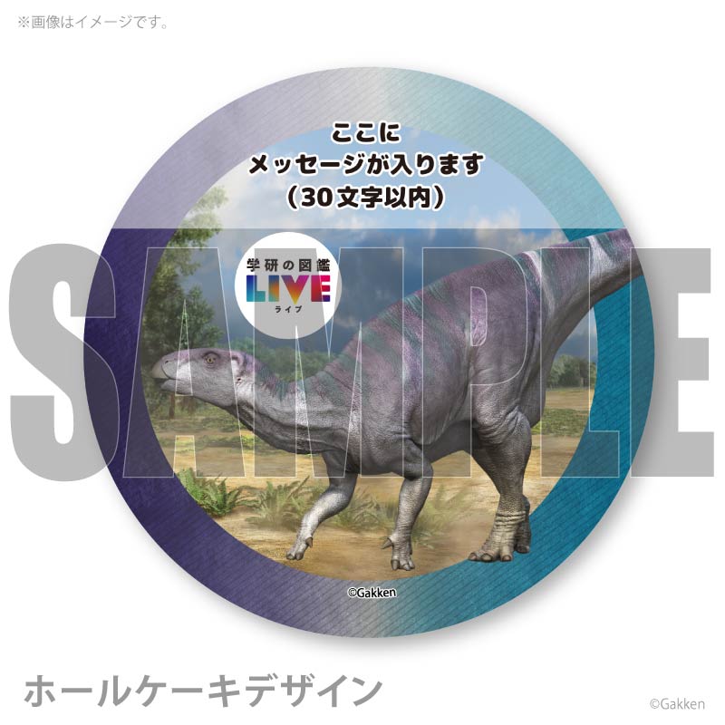 �ڥ�å���������ۥץꥱ�����ʥ������Υɥ�ˡ���ŵ�����ɤޤ��ϴ̥Хå��դ���[�ظ��ο޴�LIVE]