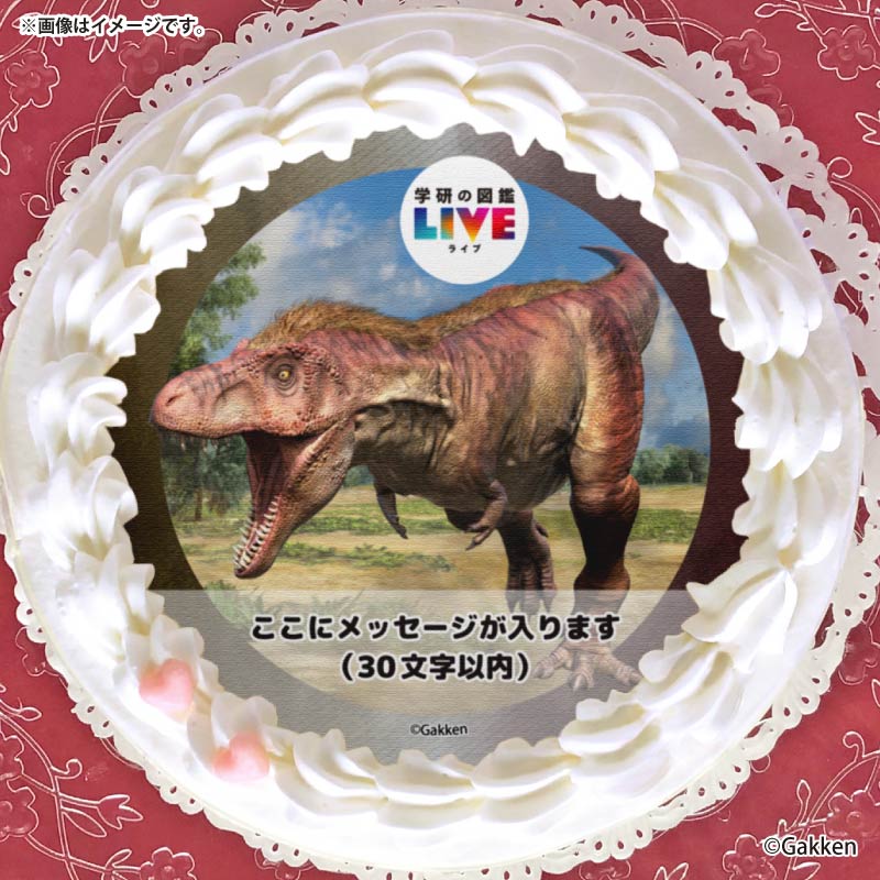 �ڥ�å���������ۥץꥱ�����ʥƥ���Υ����륹�ˡ���ŵ�����ɤޤ��ϴ̥Хå��դ���[�ظ��ο޴�LIVE]