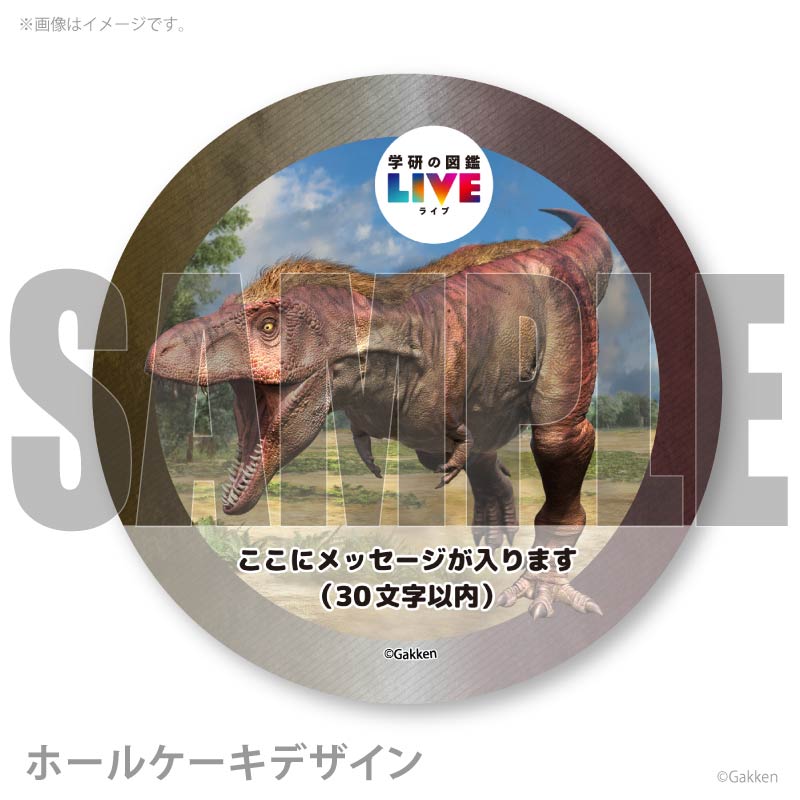 �ڥ�å���������ۥץꥱ�����ʥƥ���Υ����륹�ˡ���ŵ�����ɤޤ��ϴ̥Хå��դ���[�ظ��ο޴�LIVE]