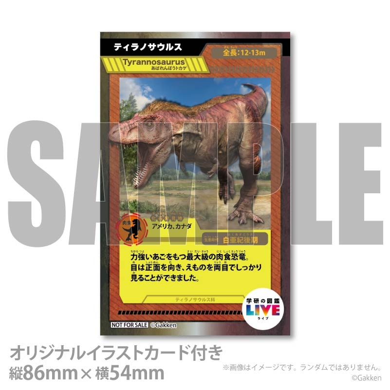 �ڥ�å���������ۥץꥱ�����ʥƥ���Υ����륹�ˡ���ŵ�����ɤޤ��ϴ̥Хå��դ���[�ظ��ο޴�LIVE]