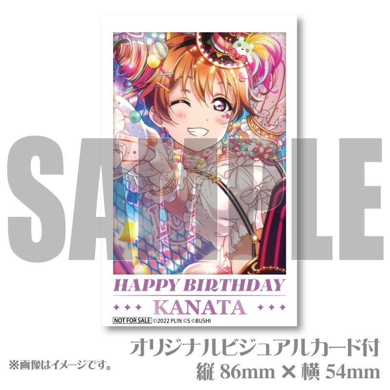 �С����ǡ��ץ�ޥ�����6�ĥ��å�2025�ʶṾ�����ˡ���ŵ�ӥ��奢�륫�����դ���[��֥饤�֡�������رॹ�����륢���ɥ�Ʊ����]