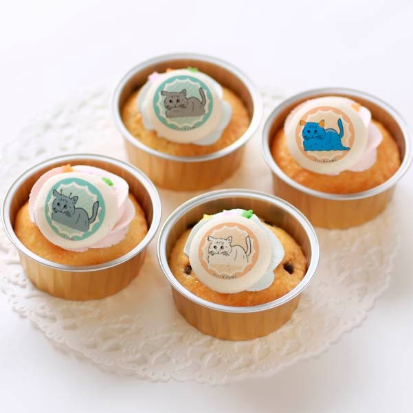 �ץꥫ�åץ���������ŵ�̥Хå��դ���[�С������ͤ�]