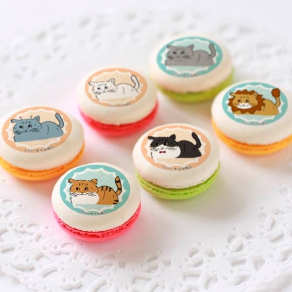 プリマカロン6個セット【特典缶バッジ付き】[バーチャルねこ