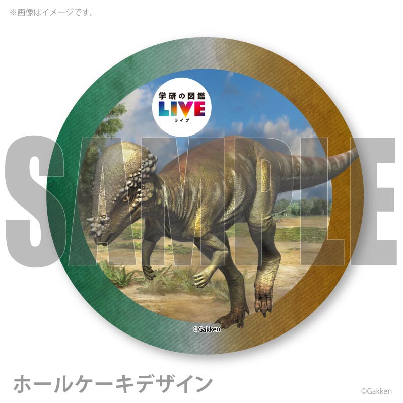 �ץꥱ�����ʥѥ����ե��������륹�ˡ���ŵ�����ɤޤ��ϴ̥Хå��դ���[�ظ��ο޴�LIVE]