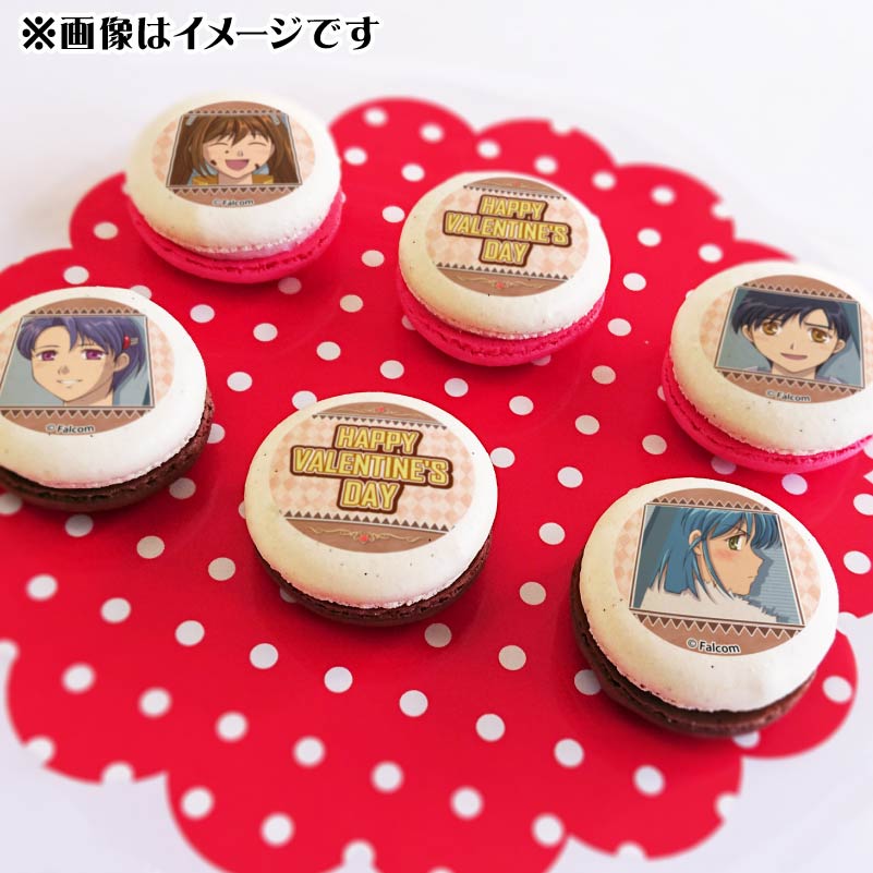 �Х�󥿥���ץ�ޥ�����6�ĥ��å�2025�ʥ����ƥ���襷�奢���������������祼�åȡˡ���ŵ�֥��ޥ����դ���[��ͺ����ֵ��סץ��꡼��]