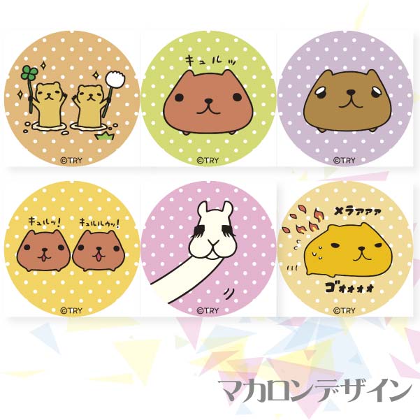 �ץ�ޥ�����6�ĥ��å�(���ԥХ餵�����֤���)[���ԥХ餵��]