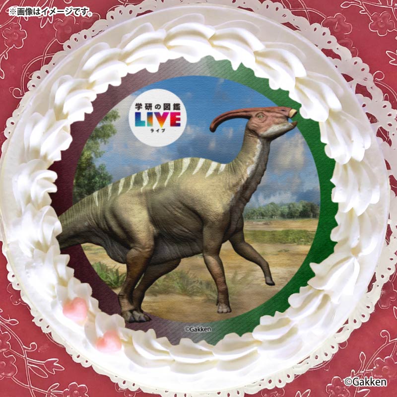 �ץꥱ�����ʥѥ饵�������ե��ˡ���ŵ�����ɤޤ��ϴ̥Хå��դ���[�ظ��ο޴�LIVE]