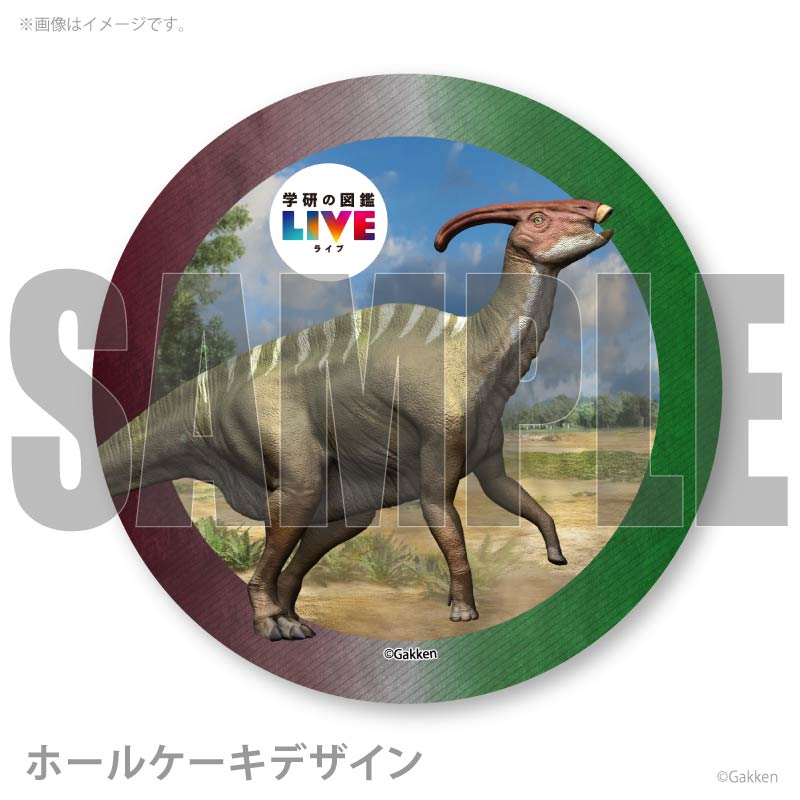 �ץꥱ�����ʥѥ饵�������ե��ˡ���ŵ�����ɤޤ��ϴ̥Хå��դ���[�ظ��ο޴�LIVE]