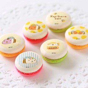 ץޥ6ĥå(ϤߤġΤȪ)[ԥХ餵]