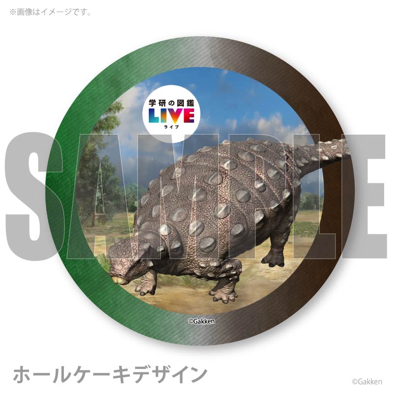 �ץꥱ�����ʥ����������륹�ˡ���ŵ�����ɤޤ��ϴ̥Хå��դ���[�ظ��ο޴�LIVE]