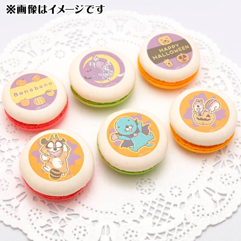 ϥǥץޥ6ĥåȡŵ̥Хåդ[ܤΤܤ]