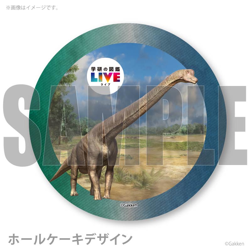 �ץꥱ�����ʥ֥饭�������륹�ˡ���ŵ�����ɤޤ��ϴ̥Хå��դ���[�ظ��ο޴�LIVE]