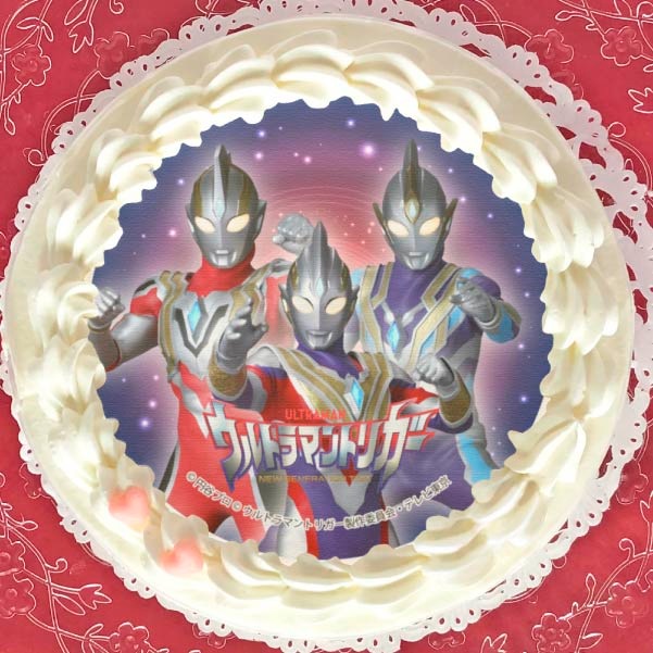 ץꥱʥȥޥȥꥬˡŵ̥Хåդ[ȥޥȥꥬ]