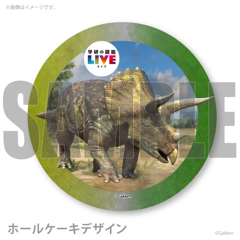 �ץꥱ�����ʥȥꥱ��ȥץ��ˡ���ŵ�����ɤޤ��ϴ̥Хå��դ���[�ظ��ο޴�LIVE]