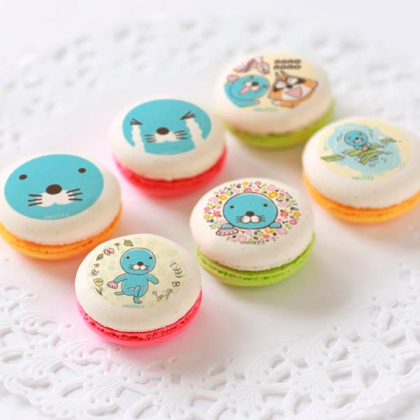 ץޥ6ĥåȡŵ̥Хåդ[ܤΤܤ]