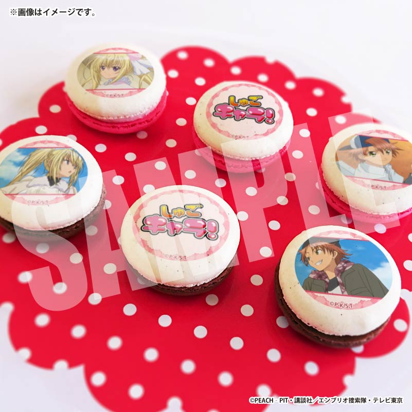 �Х�󥿥���ץ�ޥ�����6�ĥ��å�2026�ʲα��������ˡ���ŵ�̥Хå��դ���[���头����顪]