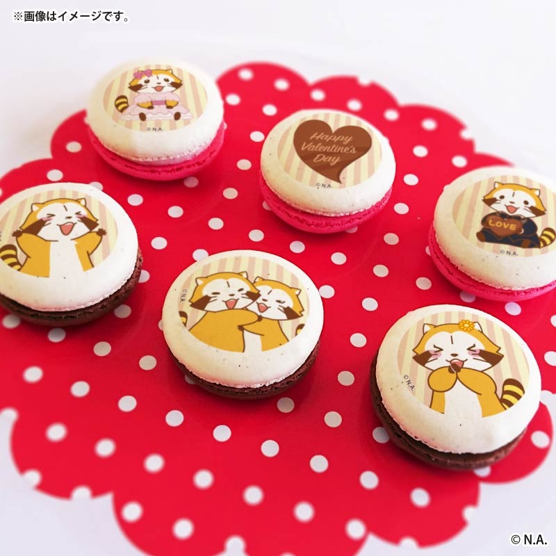 �Х�󥿥���ץ�ޥ�����6�ĥ��å�2026�ʥ饹�������ꥣ�ǥ�����ˡ���ŵ�̥Хå��դ���[�饹����]