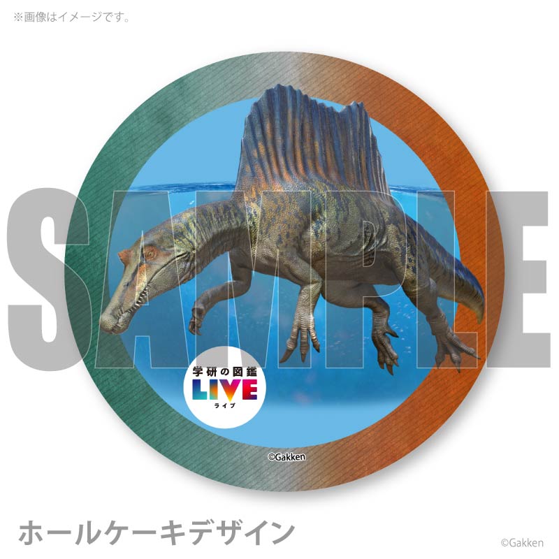 �ץꥱ�����ʥ��ԥΥ����륹�ˡ���ŵ�����ɤޤ��ϴ̥Хå��դ���[�ظ��ο޴�LIVE]