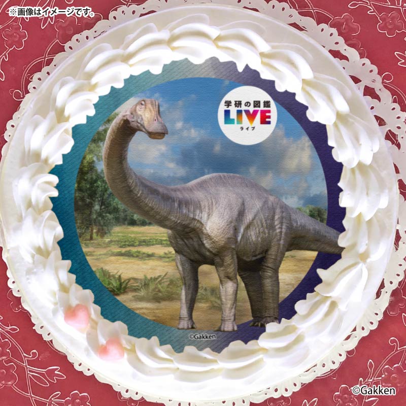 �ץꥱ�����ʥǥ��ץ��ɥ����ˡ���ŵ�����ɤޤ��ϴ̥Хå��դ���[�ظ��ο޴�LIVE]