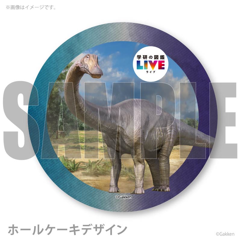 �ץꥱ�����ʥǥ��ץ��ɥ����ˡ���ŵ�����ɤޤ��ϴ̥Хå��դ���[�ظ��ο޴�LIVE]