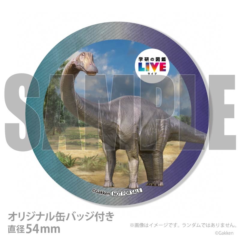 �ץꥱ�����ʥǥ��ץ��ɥ����ˡ���ŵ�����ɤޤ��ϴ̥Хå��դ���[�ظ��ο޴�LIVE]