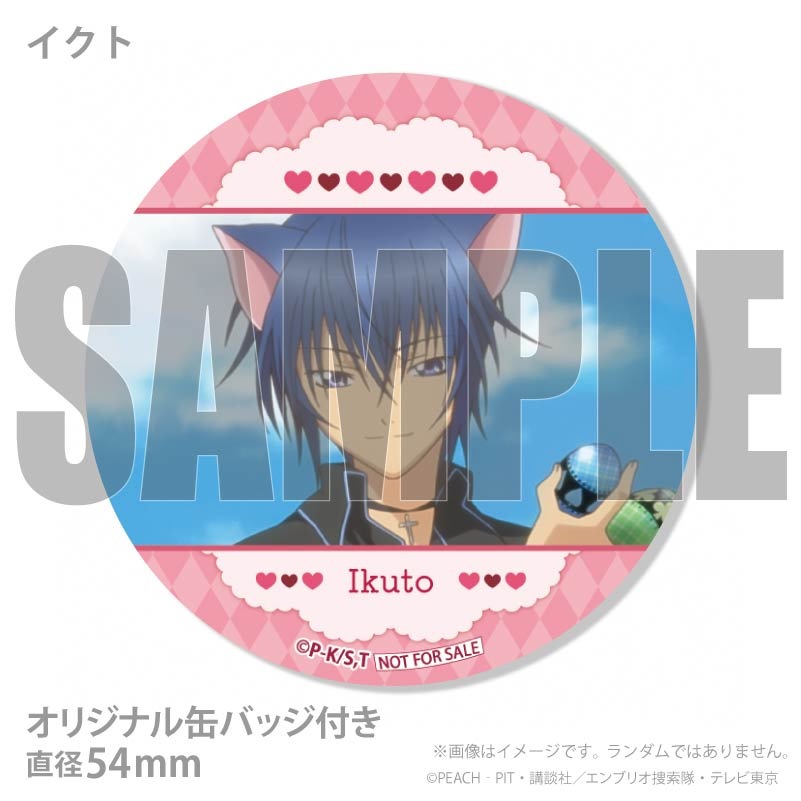 �Х�󥿥���ץ�ޥ�����6�ĥ��å�2026�ʤ����ͣ���������ȡˡ���ŵ�̥Хå��դ���[���头����顪]